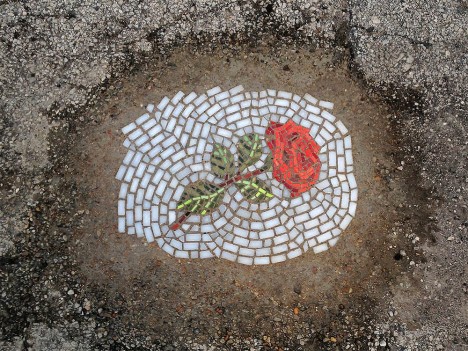 flower art street rose