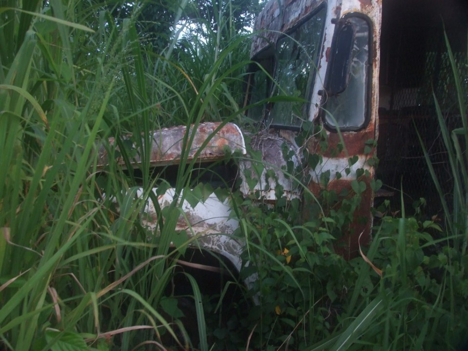 Meltdown 12 Dripped, Dropped & Abandoned Ice Cream Trucks Urbanist