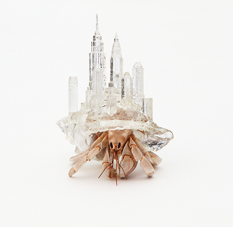 cityscape hermit crab