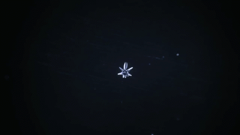 time lapse snowflakes 2