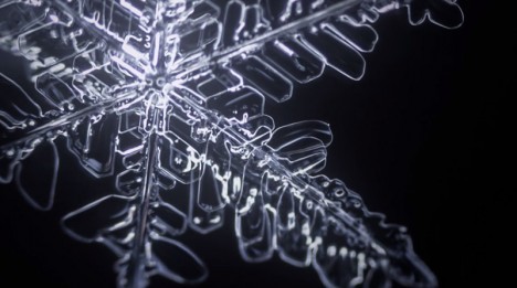 time lapse snowflakes
