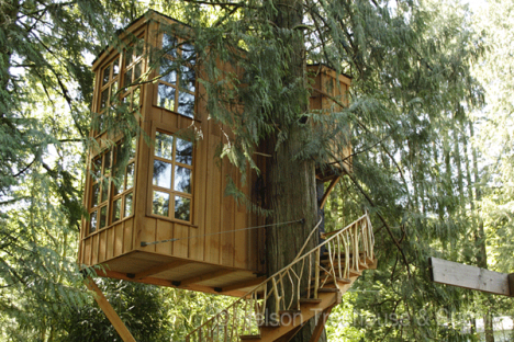 treehouse point 2
