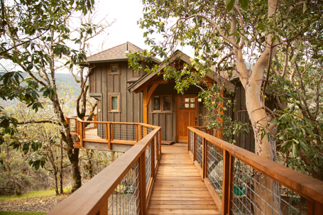 treehouse point 3