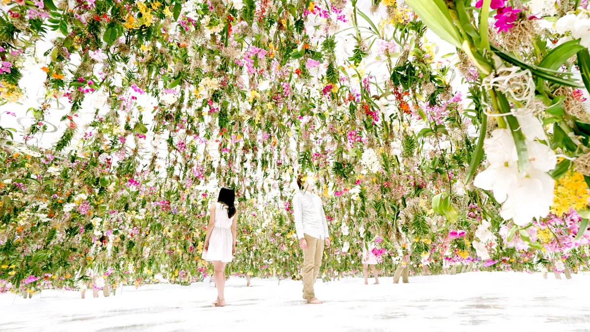 2,300 Floating Flowers Interactive Garden Makes Way as You Walk Urbanist