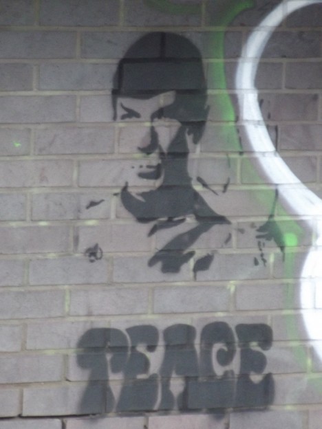 graffiti Spock 18