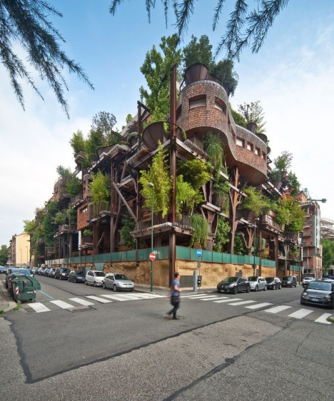 urban treehouse forest plants