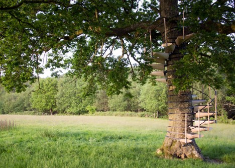 canopy tree staircase addition