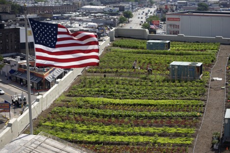 rooftop farming retrofit converted