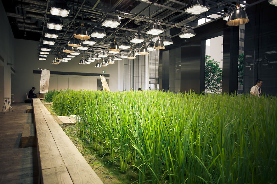 Farm-to-Desk: Vertical Urban Farm Shares Tokyo Office Space - WebUrbanist