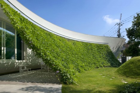 open air house green curtain 1