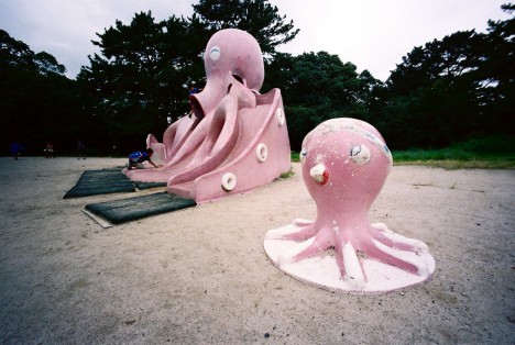 japan-octopus-slide-1d