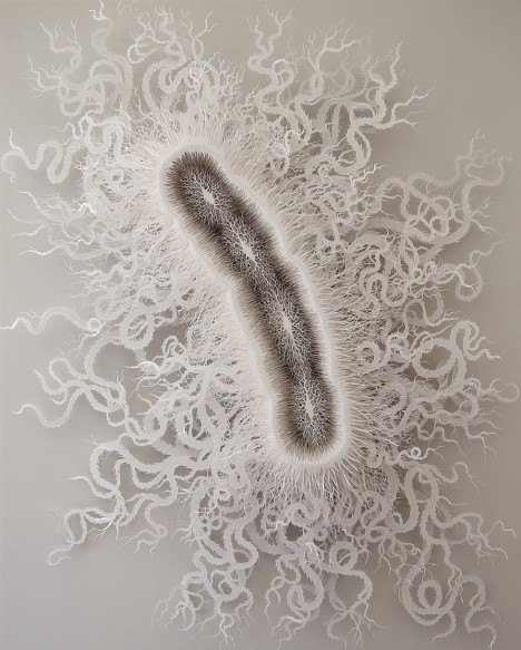 paper bacteria 9