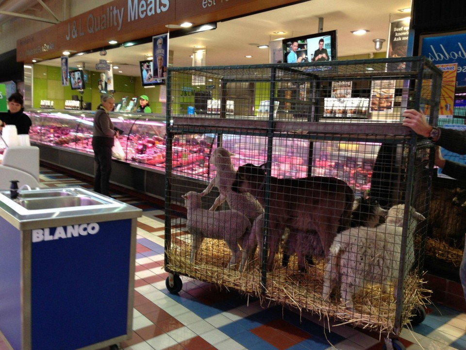 Butcher Chopped 15 Bloody Unusual Meat Markets Urbanist