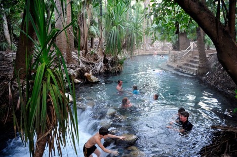 hot springs mataranka