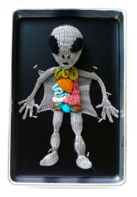 weird knits anatomy 2