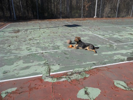 abandoned-tennis-court-5a