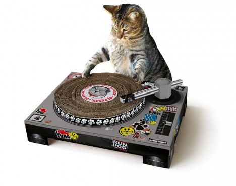 cat DJ scratcher