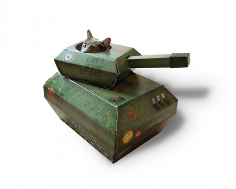 cat tank