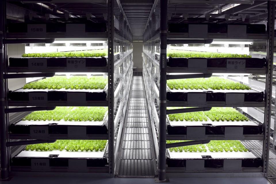 Veggie Factory: World’s First Vertical Farm Run Entirely By Robots ...