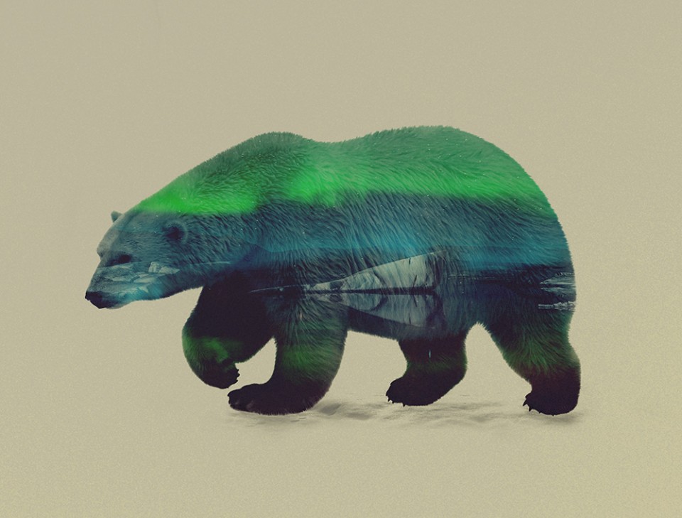 Amazing Animal Art 50+ CreatureInspired Creations Urbanist