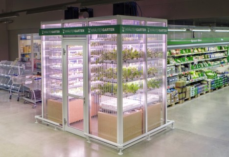 indoor farm grocery store