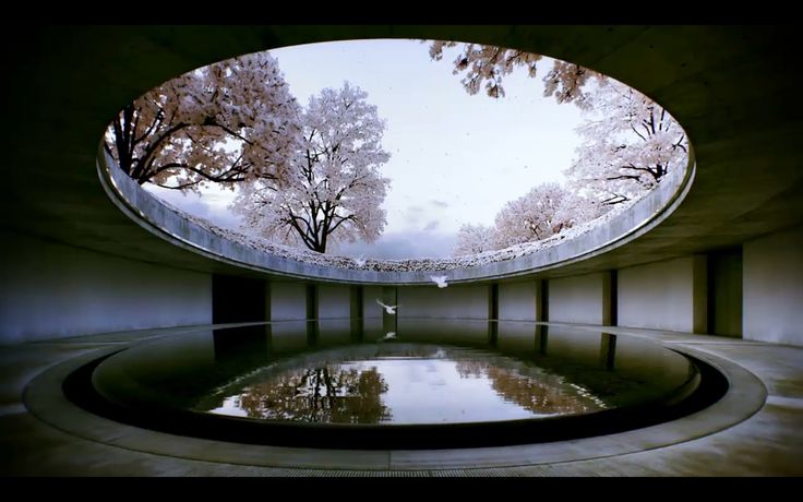 Reflecting On A Master Architect 10 Water Centric Works By Tadao Ando   Tadao Ando Oval 1 