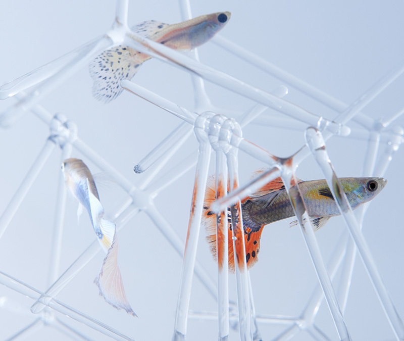 High Tech DIY Decor 15 3DPrinted Home Accessories Urbanist