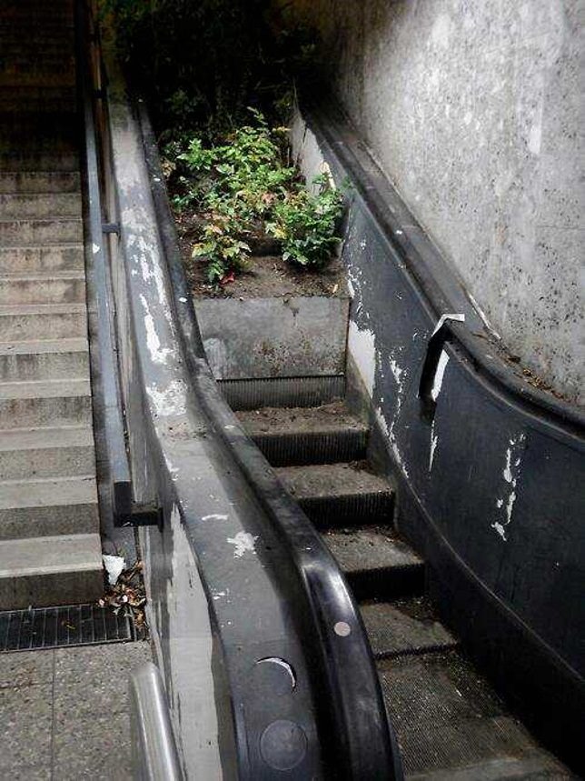 abandoned_escalator_10a