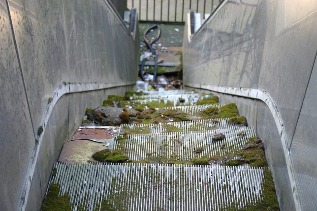 abandoned_escalator_8b