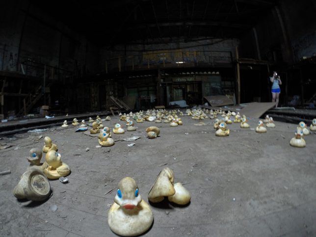 duck-factory-8b