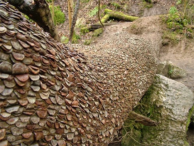 coin-art-money-trees-2