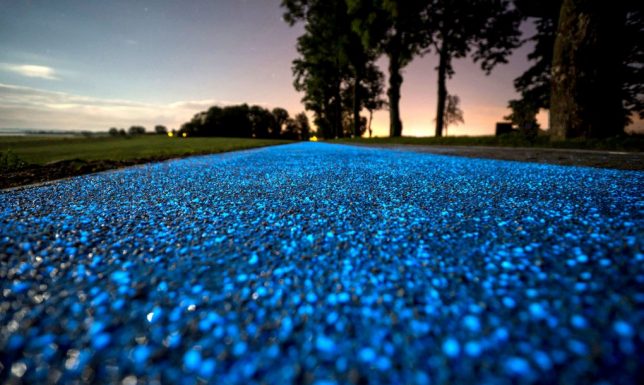 glow-in-the-dark-path