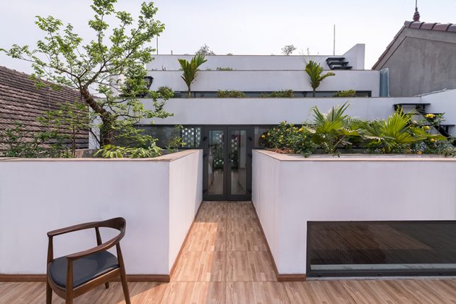 rooftop-deck-vegetation
