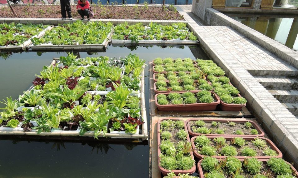 Reclaiming Urban Food Production 12 Smart Designs for Farms & Gardens