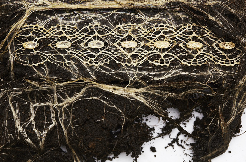 Plant Patterns: Living Roots Manipulated Into Nature-Based Art | Urbanist