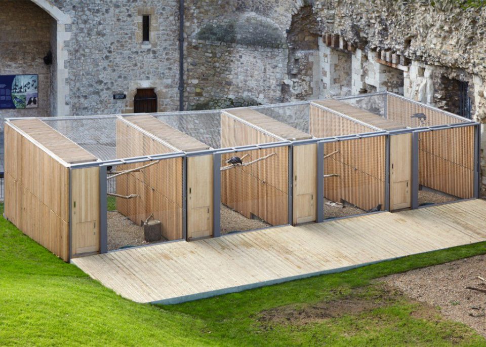 Architecture for Animals 13 Structures Designed with NonHuman Use in