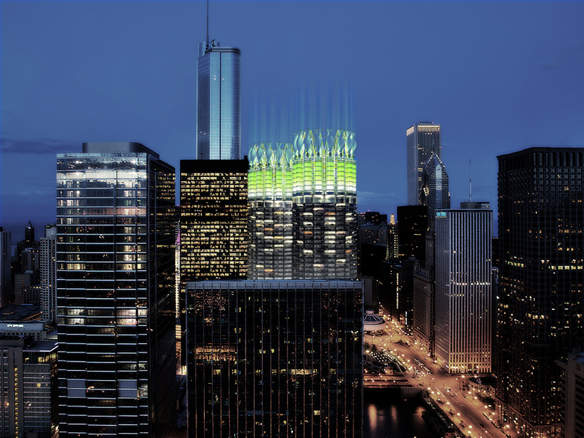 It’s Alive! 14 Algae-Powered Inventions for Food, Light, Energy ...