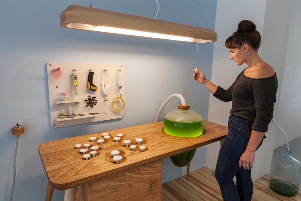It’s Alive! 14 Algae-Powered Inventions for Food, Light, Energy ...