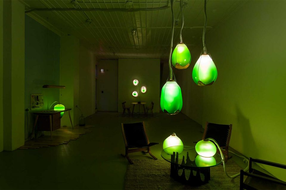 It’s Alive! 14 Algae-Powered Inventions for Food, Light, Energy ...