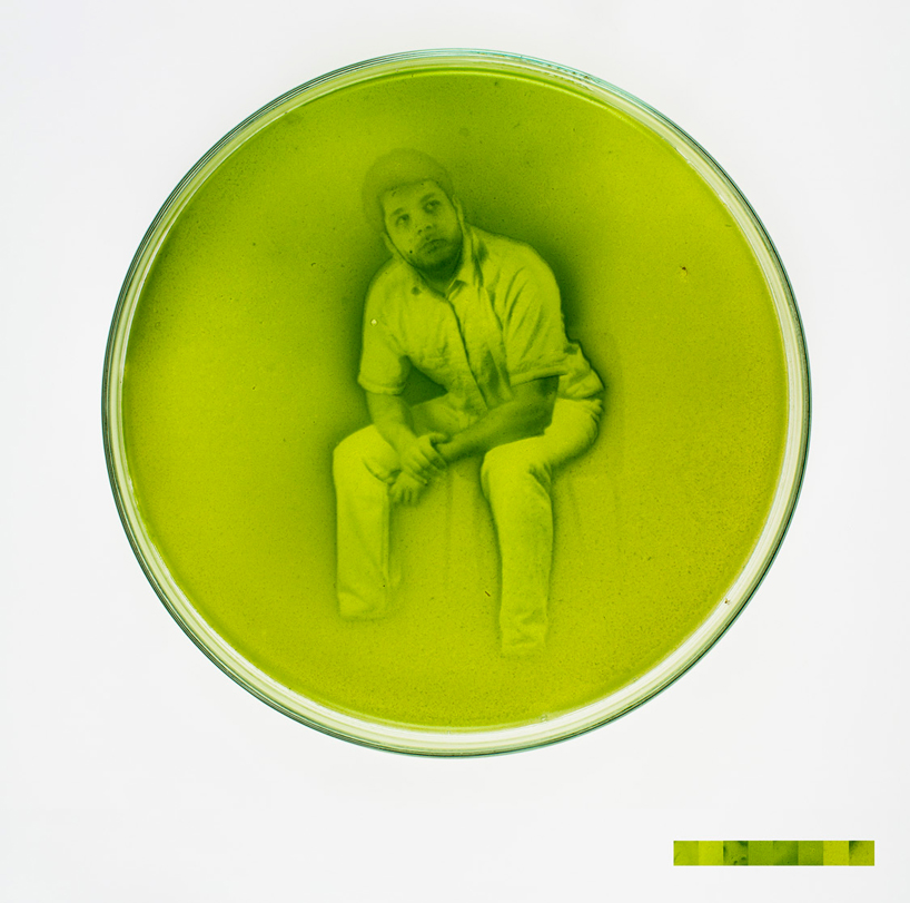 It’s Alive! 14 Algae-Powered Inventions for Food, Light, Energy ...
