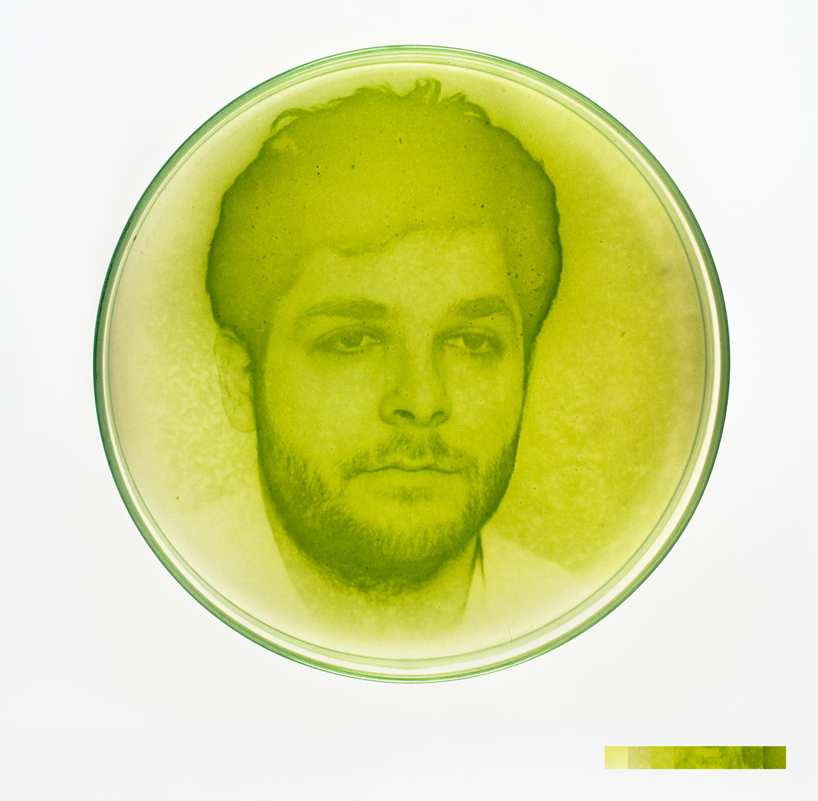 It’s Alive! 14 Algae-Powered Inventions for Food, Light, Energy ...