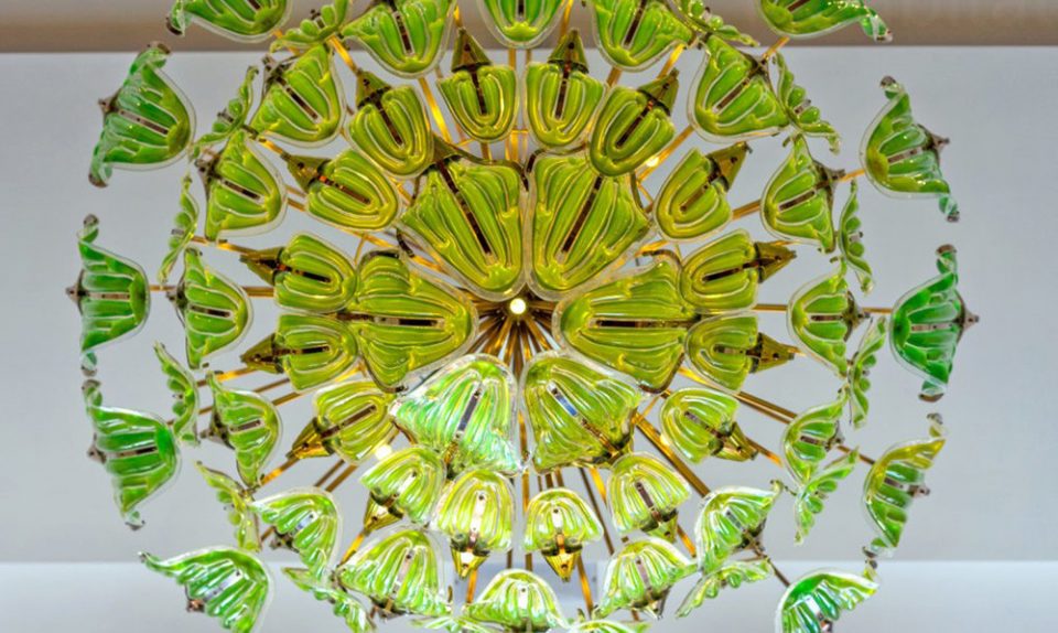 It’s Alive! 14 Algae-Powered Inventions for Food, Light, Energy ...