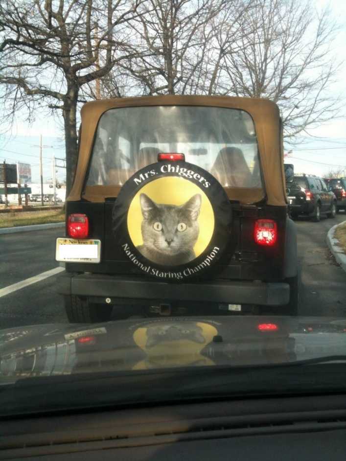 Tread Setters 15 Wheely Cool Spare Tire Covers Urbanist