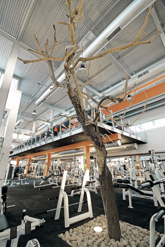 Architects Broke a Sweat Designing These 13 Striking Gyms & Fitness