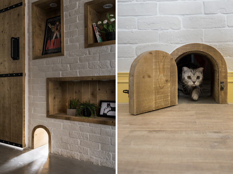 High Feline Design: 10 Modern Homes with Built-In Cat Friendly Features ...