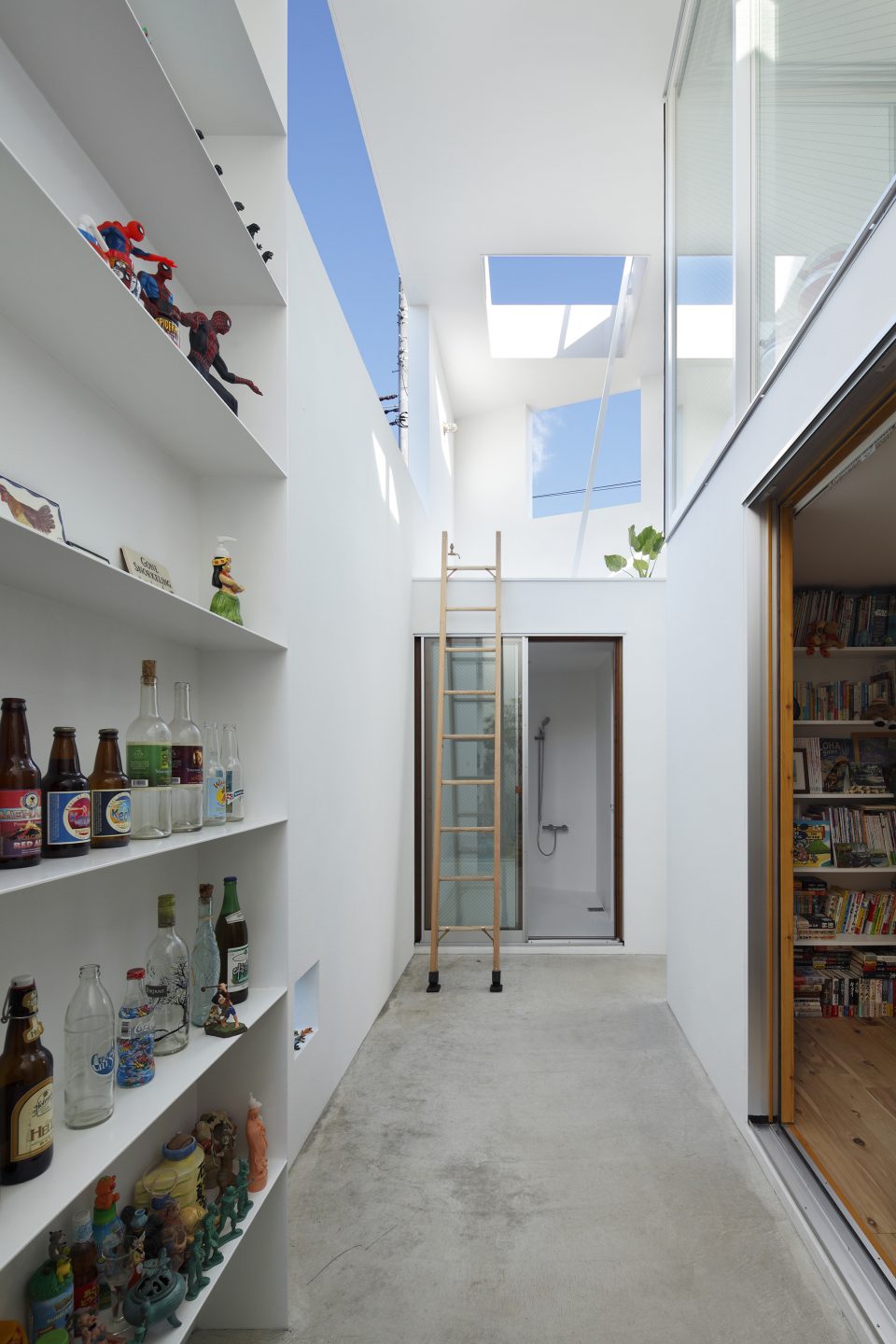 High Feline Design: 10 Modern Homes with Built-In Cat Friendly Features ...
