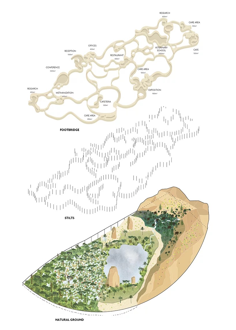Zootopias ForwardThinking Zoos Designed to Advance Animal Welfare