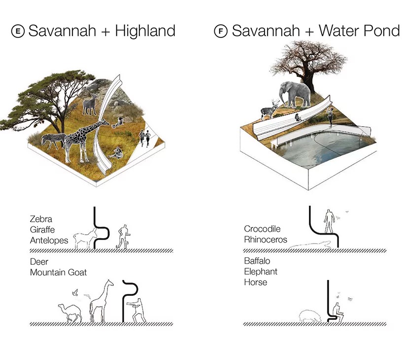 Zootopias ForwardThinking Zoos Designed to Advance Animal Welfare