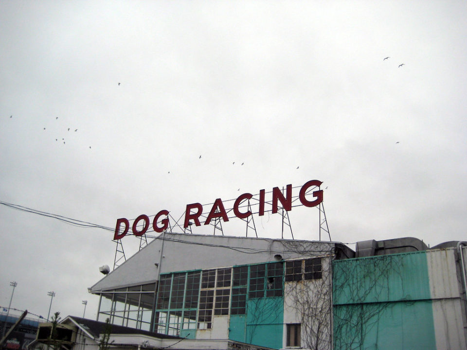 Hounded 7 Abandoned Greyhound Racing Tracks Urbanist