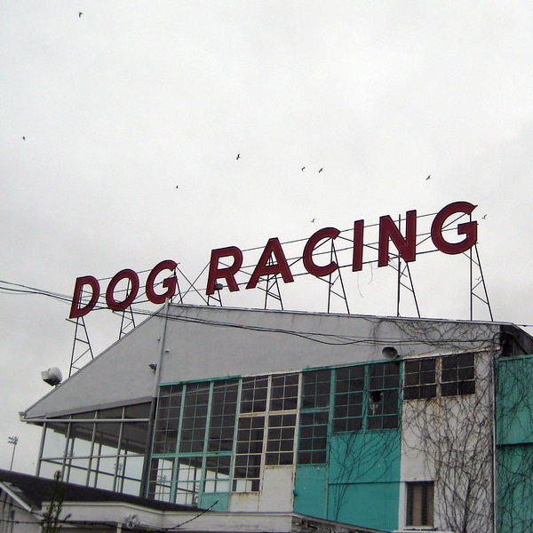 Hounded: 7 Abandoned Greyhound Racing Tracks | Urbanist